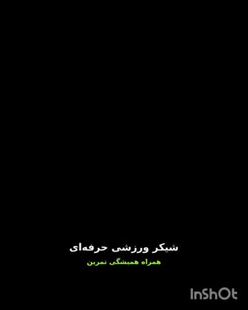 شیکر ورزشی حرفه‌ای
